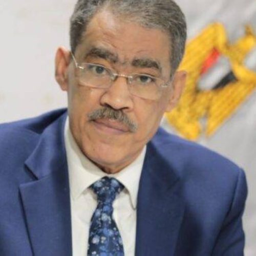 الدكتور ضياء رشوان، وزير الدولة للإعلام قادة الرأي