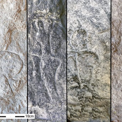 العصر الجليدي