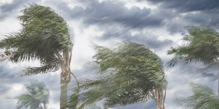 الصحة