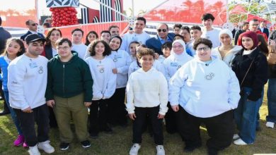 السيسي