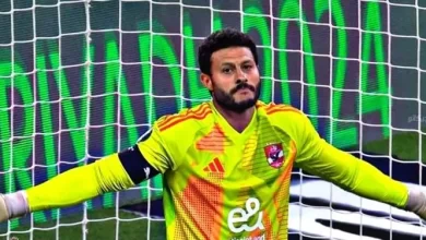 محمد الشناوي