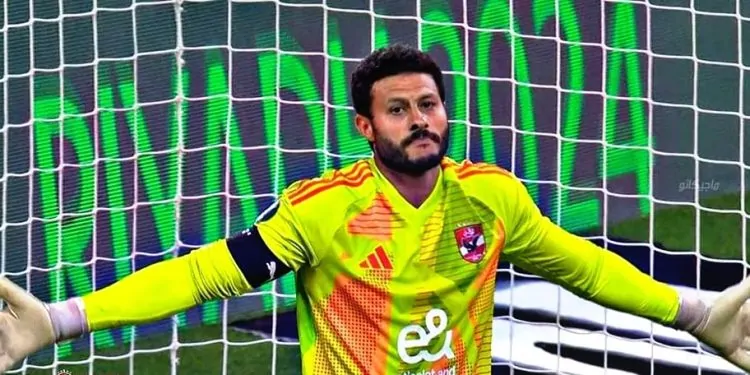 محمد الشناوي