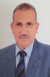 الدكتور عادل عامر - مدير "المصريين للدراسات"