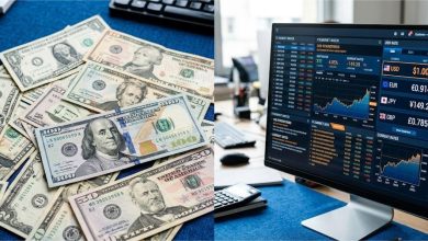سعر الدولار اليوم في البنوك المصرية - استقرار العملة الخضراء