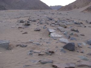 طريق الحج والتجارة, قوص - القصير, دراسة أثرية, عبد الرحيم ريحان, الدكتور محمود عبد الوهاب مدني, بئر السليمانية, مسجد الطنبغا المارداني, مسجد الرفاعي, النقوش الأثرية, اليونسكو, الحملة المصرية للدفاع عن الحضارة