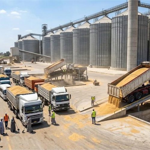 صوامع تخزين القمح المحلي التابعة لوزارة التموين والتجارة الداخلية