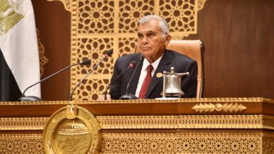 المستشار عصام فريد رئيس مجلس الشيوخ قانون حماية المنافسة