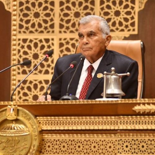 المستشار عصام فريد رئيس مجلس الشيوخ قانون حماية المنافسة