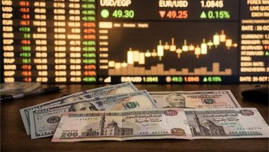 سعر الدولار اليوم أمام الجنيه المصري في البنوك المصرية 16 أبريل 2026