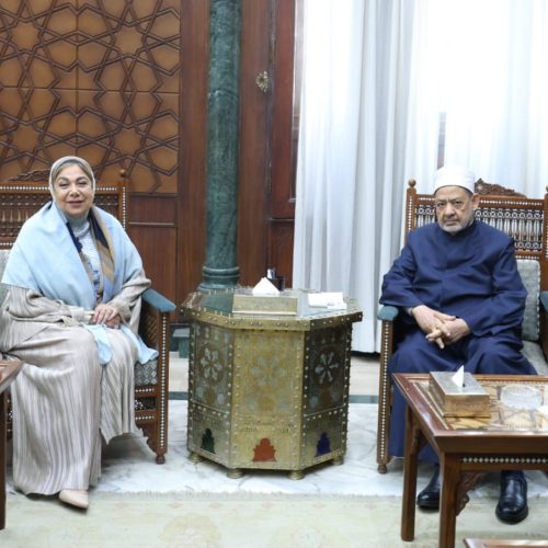 شيخ الأزهر الدكتور أحمد الطيب يلتقي رئيسة الأمانة الفنية للمجلس الوطني للتعليم