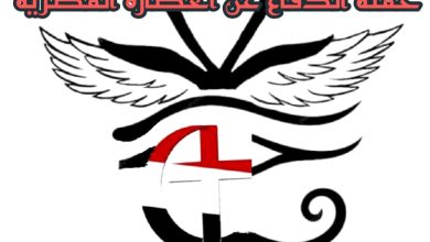 حملة الدفاع عن الحضارة قلعة شيخ العرب همام نشر علمي آثار نجع حمادي لجان الآثار