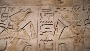 رعاية اليتيم