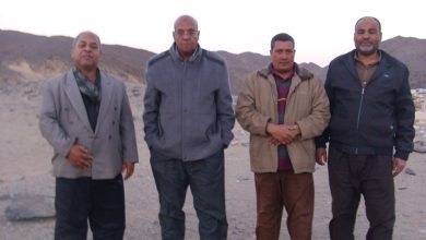 طريق الحج والتجارة, قوص - القصير, دراسة أثرية, عبد الرحيم ريحان, الدكتور محمود عبد الوهاب مدني, بئر السليمانية, مسجد الطنبغا المارداني, مسجد الرفاعي, النقوش الأثرية, اليونسكو, الحملة المصرية للدفاع عن الحضارة