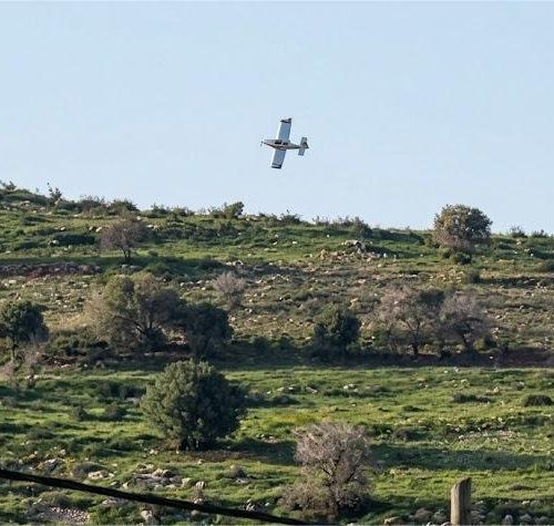 التداعيات البيئية للحرب منظمة غرينبيس حماية البيئة القانون الدولي الإنساني