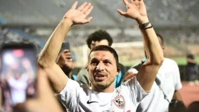 طارق حامد