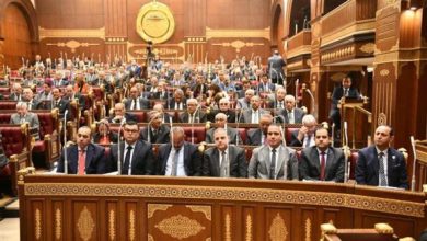 مجلس الشيوخ, قانون حماية المنافسة, الممارسات الاحتكارية, الشؤون المالية والاقتصادية, تنمية اقتصادية
