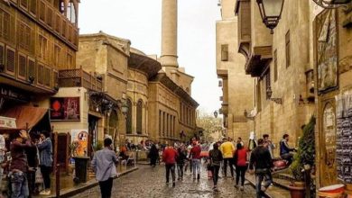 الدكتور إبراهيم صابر محافظ القاهرة يترأس اجتماع المجلس التنفيذي استعدادا لعيد الأضحى