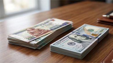 رزم من الجنيه المصري بجانب الدولار توضح تراجع سعر صرف الدولار في مصر أمام العملة المحلية