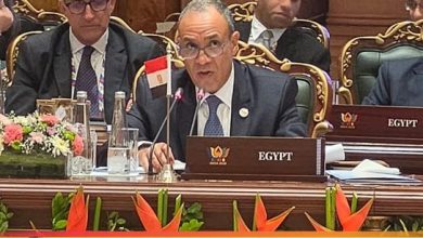 وزير الخارجية المصري بدر عبد العاطي في اجتماع وزراء البريكس بنيودلهي