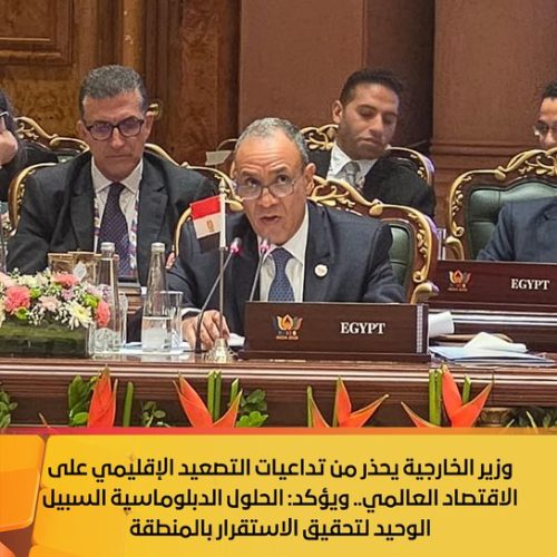 وزير الخارجية المصري بدر عبد العاطي في اجتماع وزراء البريكس بنيودلهي