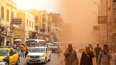 حالة الطقس اليوم في مصر, درجات الحرارة اليوم, الأرصاد الجوية تحذر, عواصف رملية وأتربة, سقوط أمطار اليوم