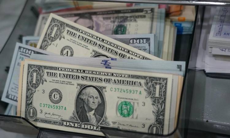 سعر الدولار