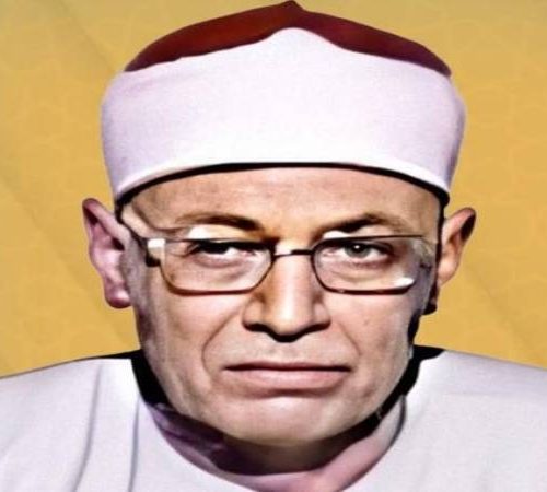 عبد الحميد الباسوسي