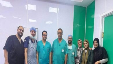 المنوفية