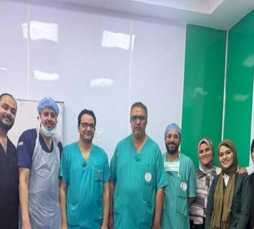 المنوفية