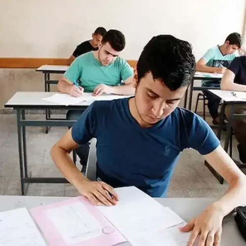 الدراسة