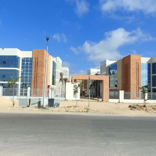 جامعة سنجور