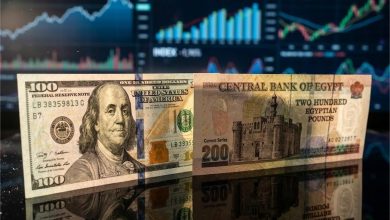استقرار سعر الدولار اليوم في مصر مقابل الجنيه