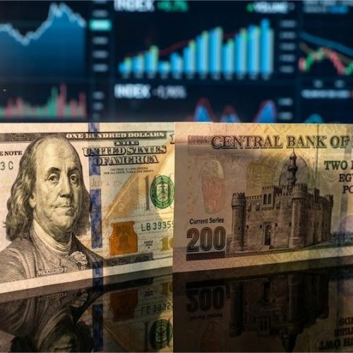 استقرار سعر الدولار اليوم في مصر مقابل الجنيه