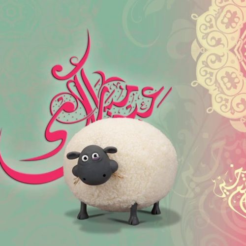 الأضحى