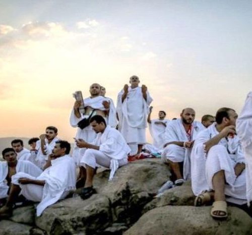 الإفتاء