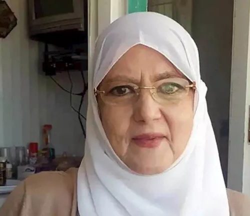 شمس البارودي