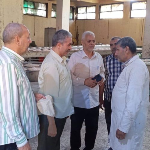 حملة تموينية بالشرقية لفحص جودة الدقيق والخبز المدعم