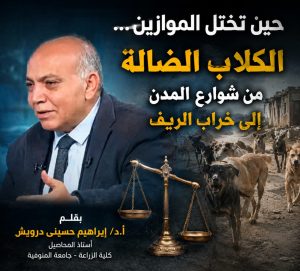 حين تختل الموازين… الكلاب الضالة من شوارع المدن إلى خراب الريف