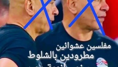 الجماهير المصرية تساند منتخب مصر وجهازه الفني الوطني