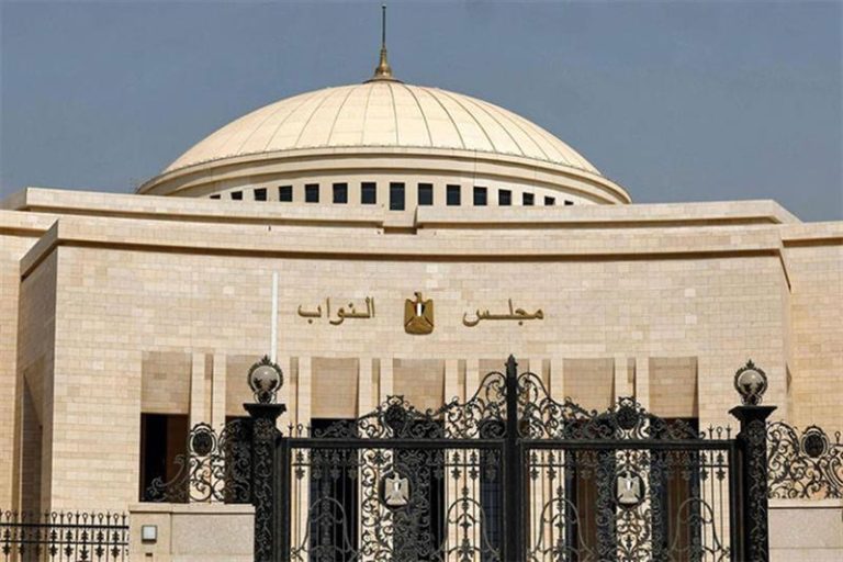 الجلسة العامة لمجلس النواب أثناء مناقشة قوانين الخزانة العامة أرباح الشركات