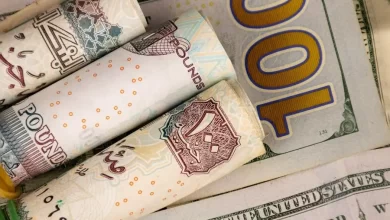 سعر الدولار اليوم في مصر