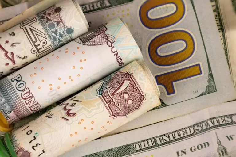 سعر الدولار اليوم في مصر