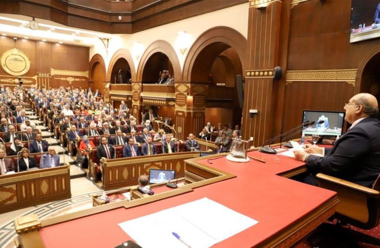 مجلس الشيوخ اليوم توطين صناعة الدواء