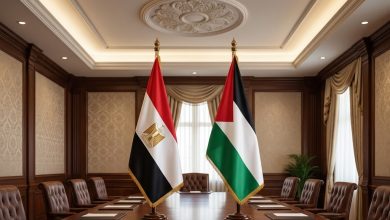 اللقاءات الدبلوماسية والمباحثات غير المباشرة في العاصمة المصرية القاهرة وفد حركة حماس في القاهرة