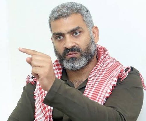 هاني عادل