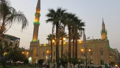 وزارة الأوقاف تفتتح مساجد جديدة ومطورة بالمحافظات