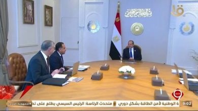 الرئيس السيسي يجتمع مع وزير الكهرباء لاستعراض مشروعات تدعيم الشبكة القومية للكهرباء