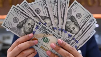 سعر الدولار اليوم أمام الجنيه المصري في البنوك الرسمية