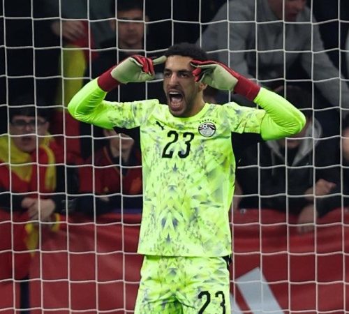 مصطفى شوبير