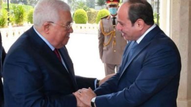 السيسي